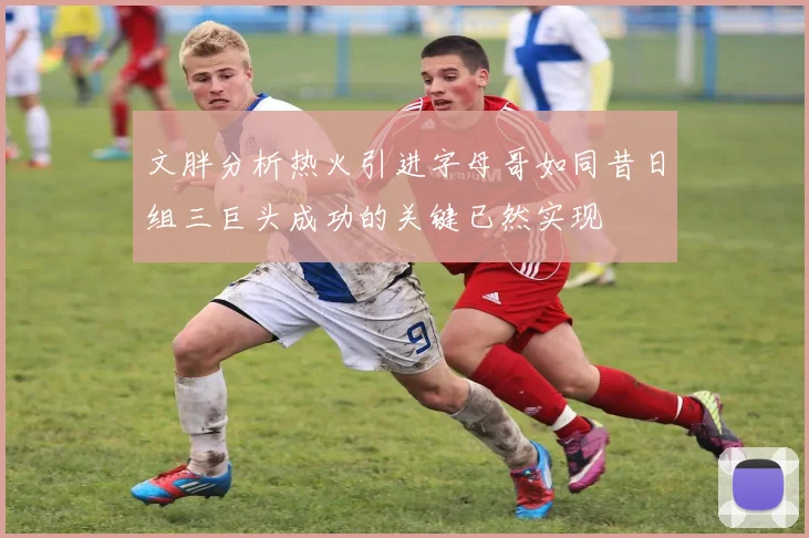 文胖分析热火引进字母哥如同昔日组三巨头成功的关键已然实现